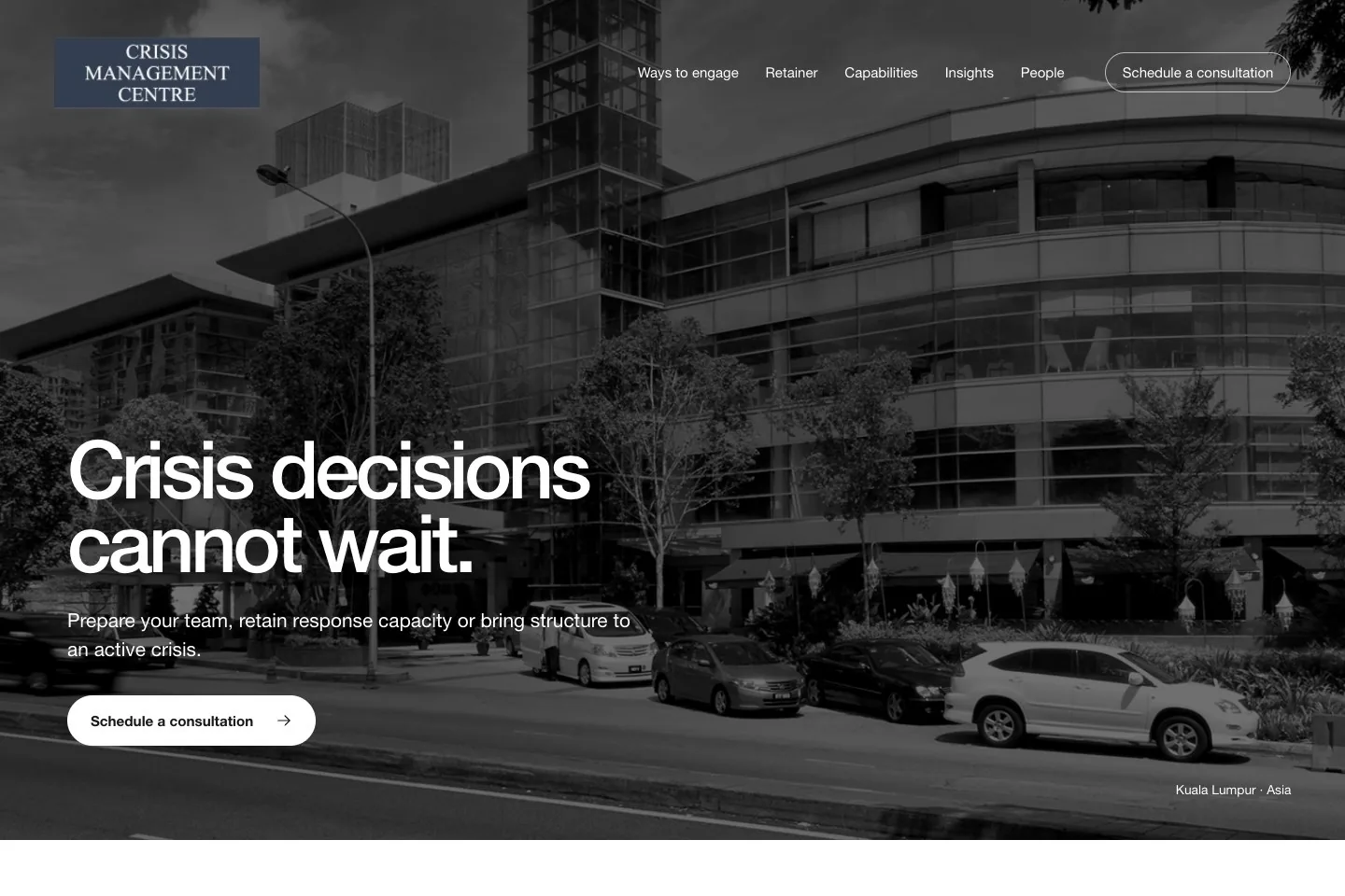 Crisis Management Centre homepage with its services and a clear way to contact the team